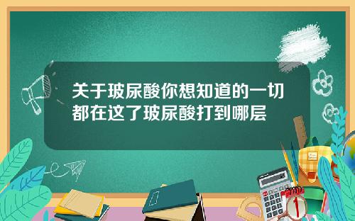 关于玻尿酸你想知道的一切都在这了玻尿酸打到哪层