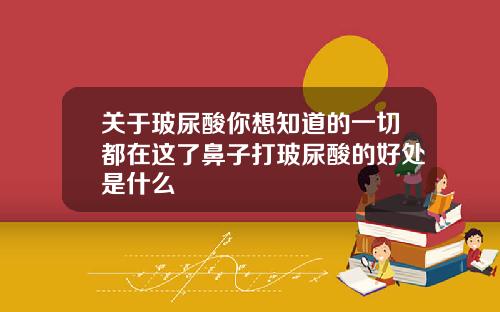 关于玻尿酸你想知道的一切都在这了鼻子打玻尿酸的好处是什么