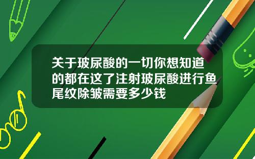 关于玻尿酸的一切你想知道的都在这了注射玻尿酸进行鱼尾纹除皱需要多少钱