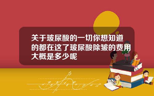 关于玻尿酸的一切你想知道的都在这了玻尿酸除皱的费用大概是多少呢