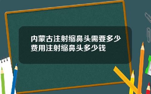 内蒙古注射缩鼻头需要多少费用注射缩鼻头多少钱