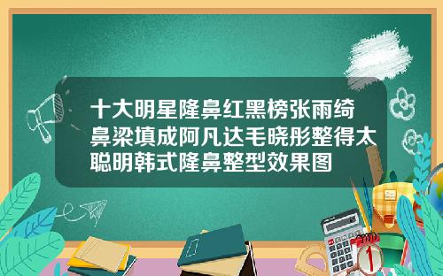 十大明星隆鼻红黑榜张雨绮鼻梁填成阿凡达毛晓彤整得太聪明韩式隆鼻整型效果图