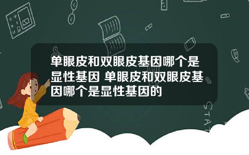 单眼皮和双眼皮基因哪个是显性基因 单眼皮和双眼皮基因哪个是显性基因的