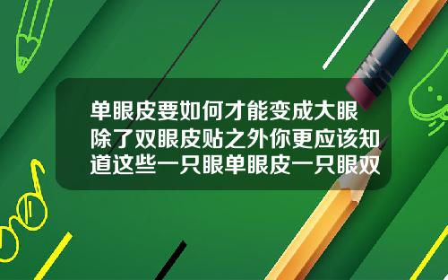 单眼皮要如何才能变成大眼除了双眼皮贴之外你更应该知道这些一只眼单眼皮一只眼双眼皮怎么办