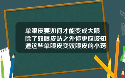 单眼皮要如何才能变成大眼除了双眼皮贴之外你更应该知道这些单眼皮变双眼皮的小窍门