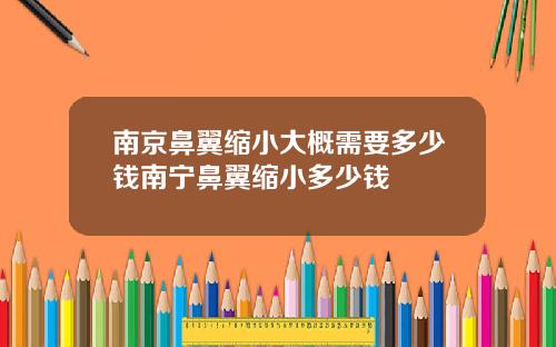 南京鼻翼缩小大概需要多少钱南宁鼻翼缩小多少钱
