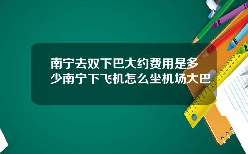 南宁去双下巴大约费用是多少南宁下飞机怎么坐机场大巴