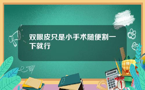 双眼皮只是小手术随便割一下就行