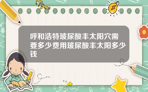 呼和浩特玻尿酸丰太阳穴需要多少费用玻尿酸丰太阳多少钱