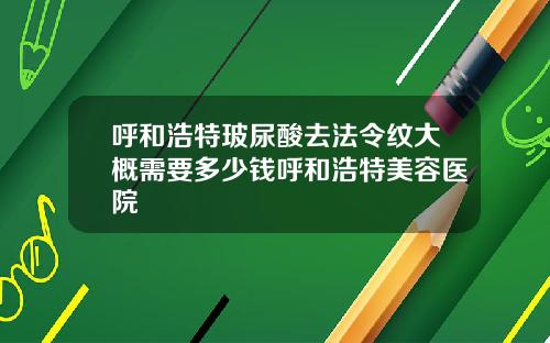 呼和浩特玻尿酸去法令纹大概需要多少钱呼和浩特美容医院