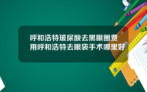 呼和浩特玻尿酸去黑眼圈费用呼和浩特去眼袋手术哪里好