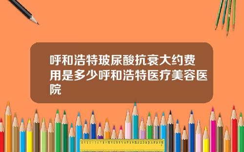 呼和浩特玻尿酸抗衰大约费用是多少呼和浩特医疗美容医院