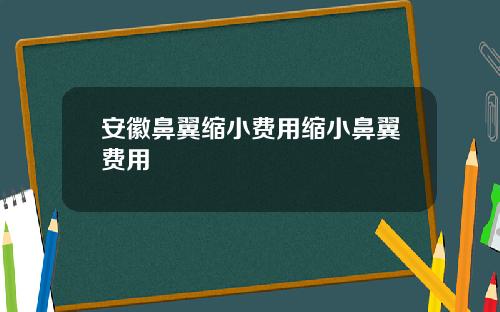安徽鼻翼缩小费用缩小鼻翼费用