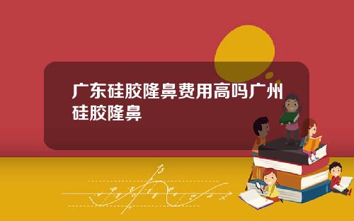 广东硅胶隆鼻费用高吗广州硅胶隆鼻