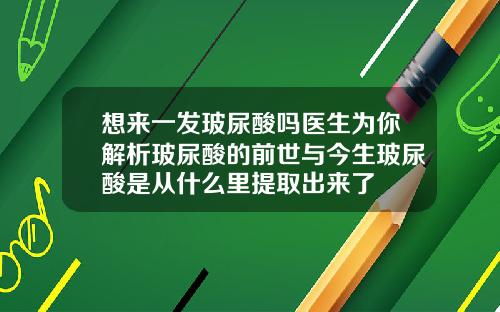 想来一发玻尿酸吗医生为你解析玻尿酸的前世与今生玻尿酸是从什么里提取出来了