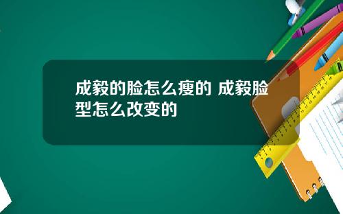 成毅的脸怎么瘦的 成毅脸型怎么改变的