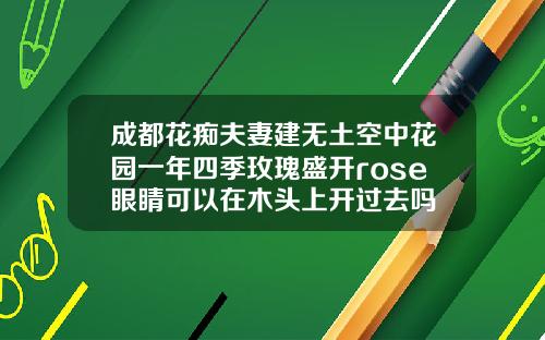 成都花痴夫妻建无土空中花园一年四季玫瑰盛开rose眼睛可以在木头上开过去吗