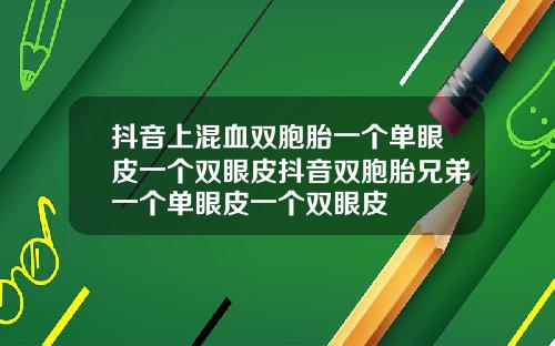抖音上混血双胞胎一个单眼皮一个双眼皮抖音双胞胎兄弟一个单眼皮一个双眼皮