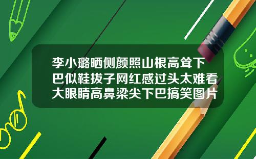 李小璐晒侧颜照山根高耸下巴似鞋拔子网红感过头太难看大眼睛高鼻梁尖下巴搞笑图片