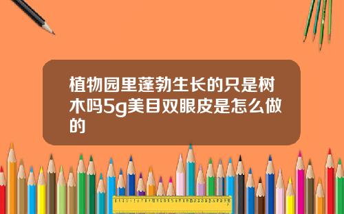 植物园里蓬勃生长的只是树木吗5g美目双眼皮是怎么做的