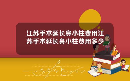 江苏手术延长鼻小柱费用江苏手术延长鼻小柱费用多少