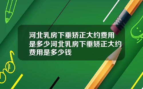 河北乳房下垂矫正大约费用是多少河北乳房下垂矫正大约费用是多少钱