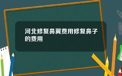 河北修复鼻翼费用修复鼻子的费用