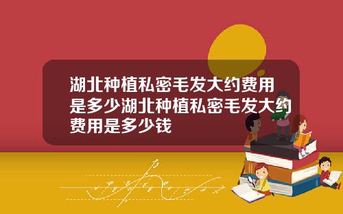 湖北种植私密毛发大约费用是多少湖北种植私密毛发大约费用是多少钱
