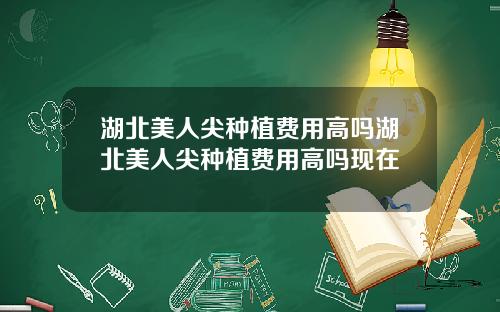 湖北美人尖种植费用高吗湖北美人尖种植费用高吗现在