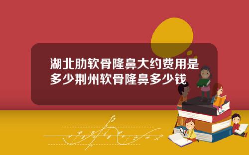 湖北肋软骨隆鼻大约费用是多少荆州软骨隆鼻多少钱