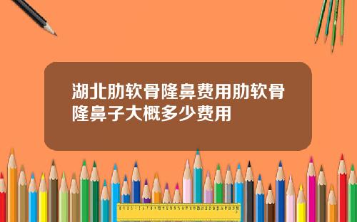 湖北肋软骨隆鼻费用肋软骨隆鼻子大概多少费用