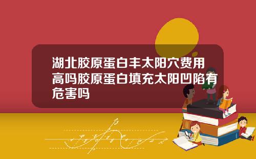 湖北胶原蛋白丰太阳穴费用高吗胶原蛋白填充太阳凹陷有危害吗