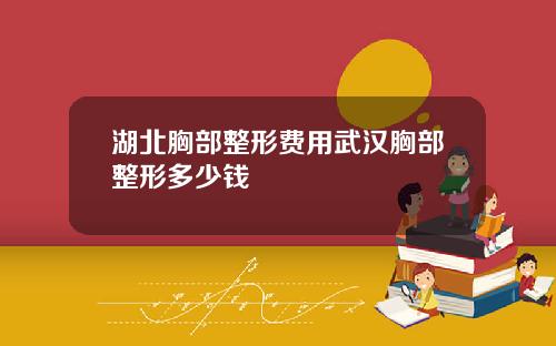 湖北胸部整形费用武汉胸部整形多少钱