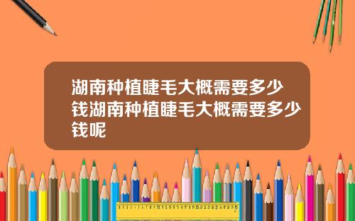 湖南种植睫毛大概需要多少钱湖南种植睫毛大概需要多少钱呢
