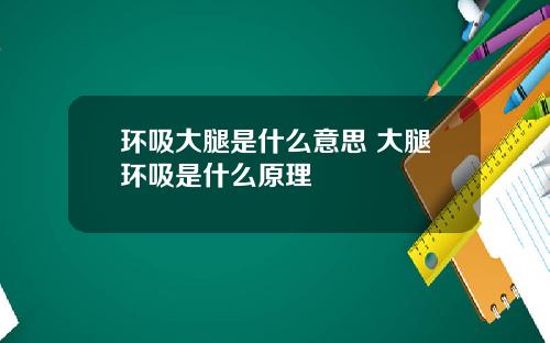 环吸大腿是什么意思 大腿环吸是什么原理