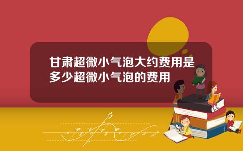 甘肃超微小气泡大约费用是多少超微小气泡的费用