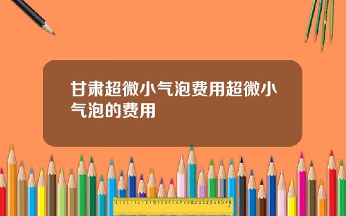 甘肃超微小气泡费用超微小气泡的费用
