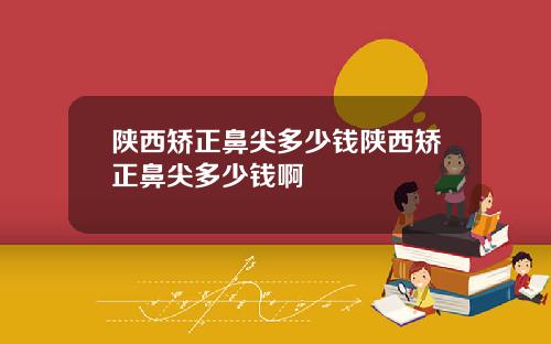 陕西矫正鼻尖多少钱陕西矫正鼻尖多少钱啊