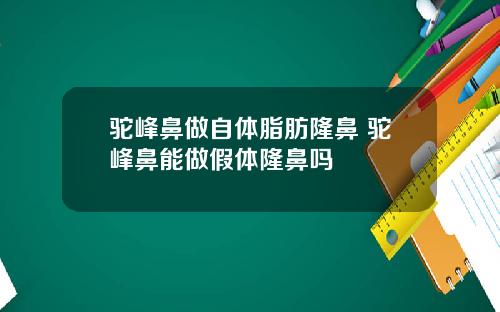 驼峰鼻做自体脂肪隆鼻 驼峰鼻能做假体隆鼻吗