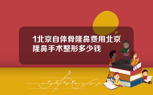 1北京自体骨隆鼻费用北京隆鼻手术整形多少钱
