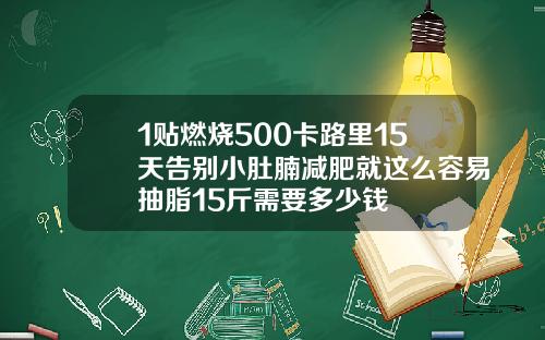 1贴燃烧500卡路里15天告别小肚腩减肥就这么容易抽脂15斤需要多少钱