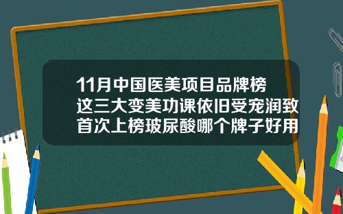 11月中国医美项目品牌榜这三大变美功课依旧受宠润致首次上榜玻尿酸哪个牌子好用
