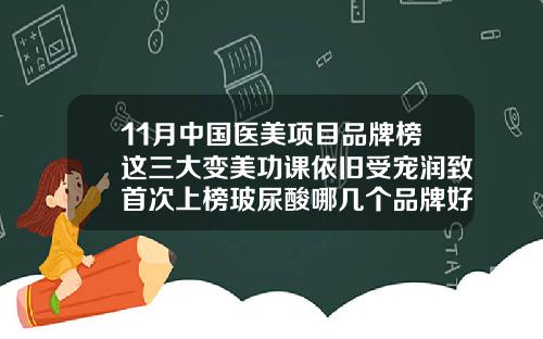 11月中国医美项目品牌榜这三大变美功课依旧受宠润致首次上榜玻尿酸哪几个品牌好