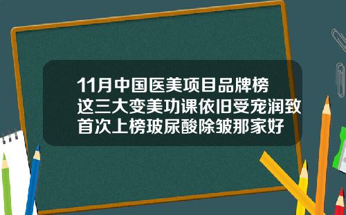 11月中国医美项目品牌榜这三大变美功课依旧受宠润致首次上榜玻尿酸除皱那家好