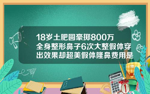 18岁土肥圆豪掷800万全身整形鼻子6次大整假体穿出效果却超美假体隆鼻费用是多少钱