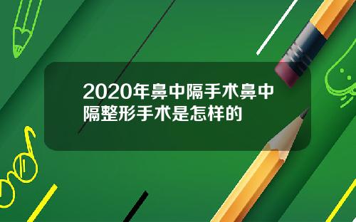 2020年鼻中隔手术鼻中隔整形手术是怎样的