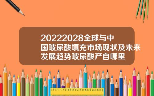20222028全球与中国玻尿酸填充市场现状及未来发展趋势玻尿酸产自哪里