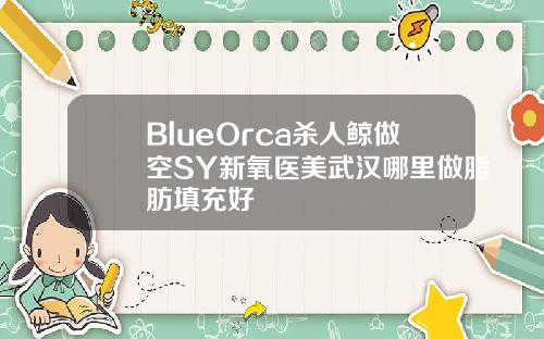BlueOrca杀人鲸做空SY新氧医美武汉哪里做脂肪填充好