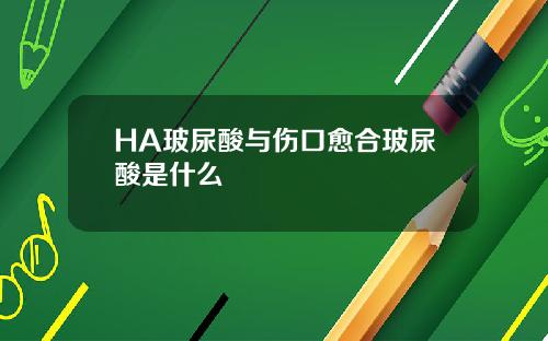 HA玻尿酸与伤口愈合玻尿酸是什么