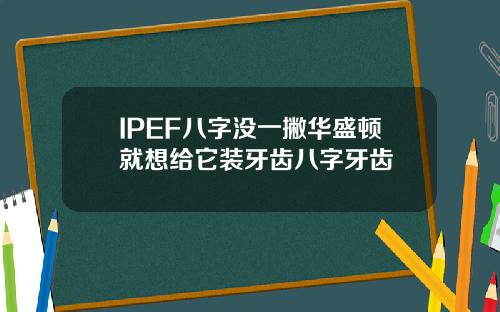 IPEF八字没一撇华盛顿就想给它装牙齿八字牙齿